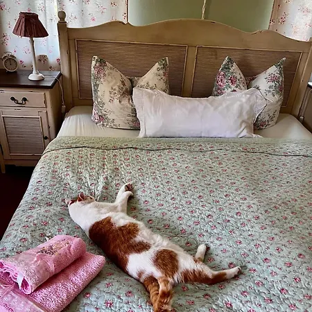 Schwarzer Kater Apartment Grossschoenau