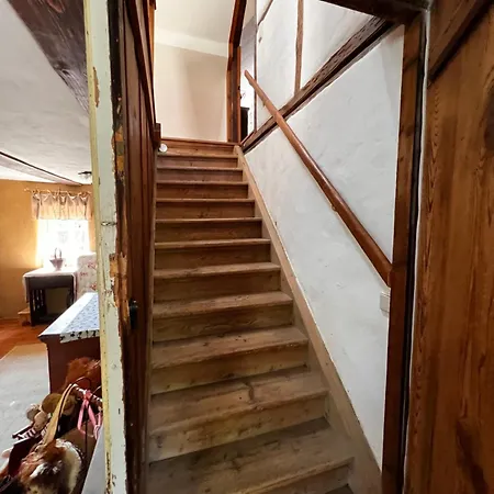 Schwarzer Kater Apartment