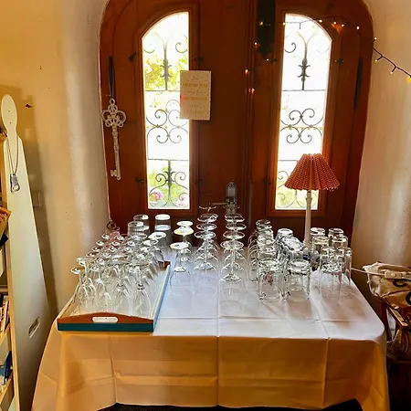 Schwarzer Kater * Großschönau