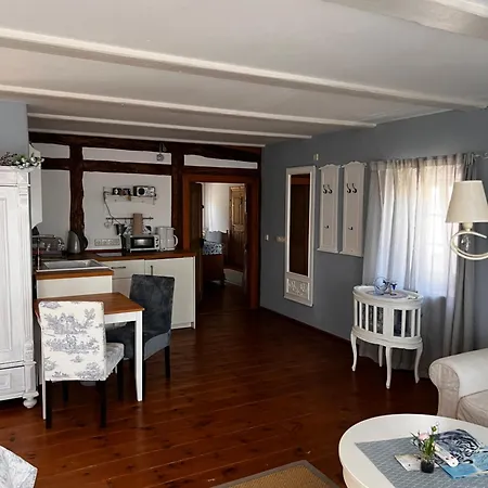 Schwarzer Kater Großschönau