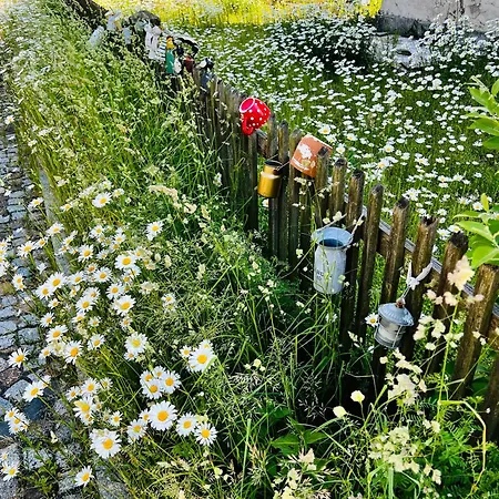 Schwarzer Kater Apartment Grossschoenau