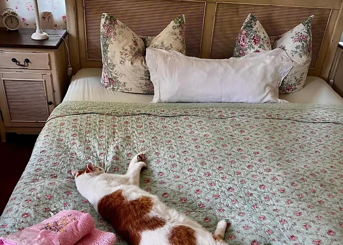 Schwarzer Kater شقة غروسشوناو