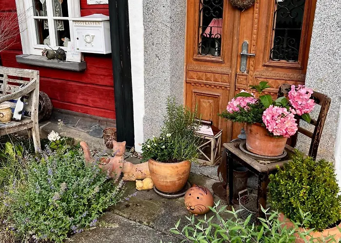 شقة Schwarzer Kater *