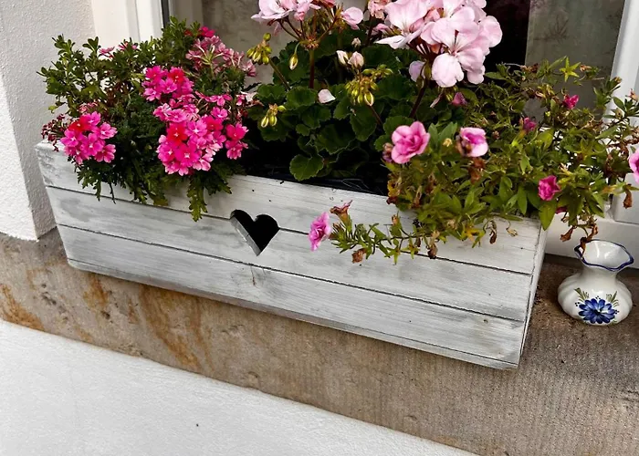 Schwarzer Kater غروسشوناو