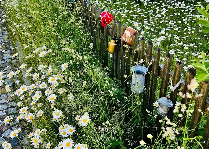 Schwarzer Kater شقة غروسشوناو