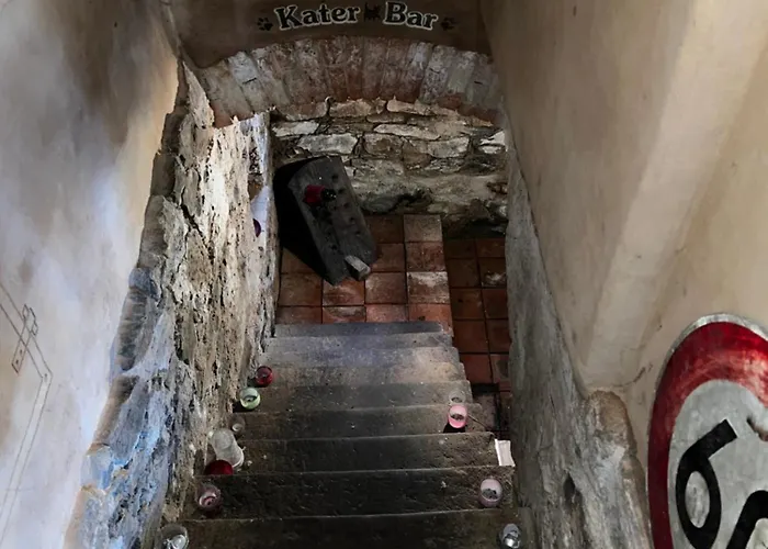 Schwarzer Kater غروسشوناو