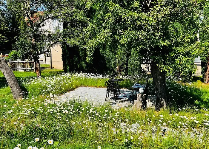 Schwarzer Kater * غروسشوناو